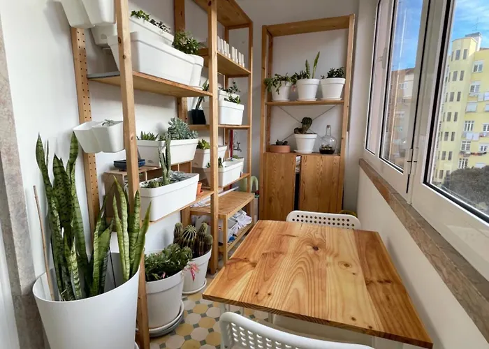 Accommodatie bij particulieren Vintage *